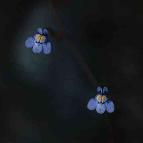 امیر رضایی همه فکر من جایی که تو هستیه تو که ساقی بشی